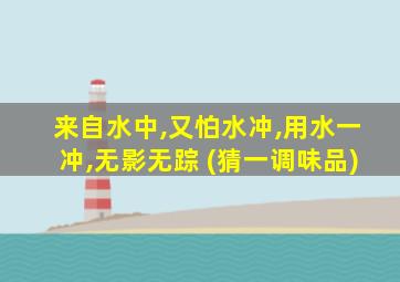 来自水中,又怕水冲,用水一冲,无影无踪 (猜一调味品)
